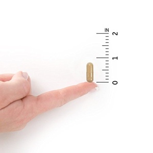 Garden of Life Probiotics for Women and Men - Raw Probiotics Colon Care 50 Billion CFU and Enzymes, Shelf Stable Once Daily Acidophilus Probiotic for Regularity and Immune Health Support, 30 Capsules - Image 3