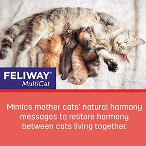FELIWAY MultiCat Calming Pheromone, 30 Day Refill - 1 Pack - Image 3