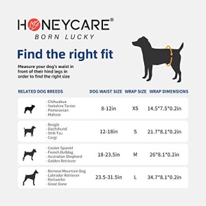 All-Absorb A26 Male Dog Wrap, 50 Count, Small - Image 2